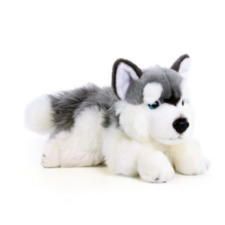 Obrázek z Pes husky plyš 30cm 